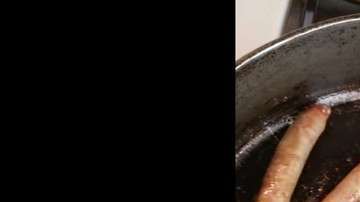 Parecieran sufrir un dolor muy profundo.