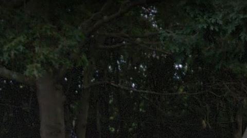 6 de la calle Ray Court, en Long Island, donde se encontró los cuerpos de las adolescentes asesinadas por MS-13 Kayla Cuevas y Nisa Mickens