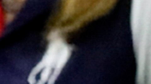 Djokovic descansa mientras Millman se cambiaba en el vestuario.