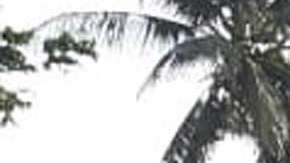 Casas en ruinas en Palu, Indonesia. EFE/