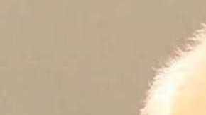 Walter William Wolford Sr.