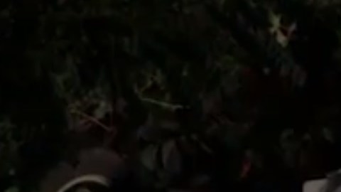 El percance ocurrió alrededor de las 2:00 a.m.