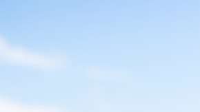 Tu perro disfrutará cada viaje