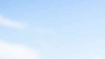 Tu perro disfrutará cada viaje