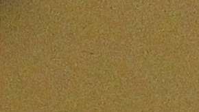 El padre Alejandro Solalinde.