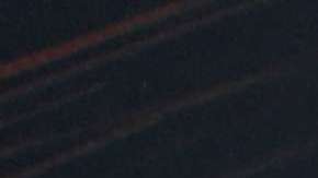 Ana María Polo presta su voz a Lolita, la orca atrapada en Miami Seaquarium.