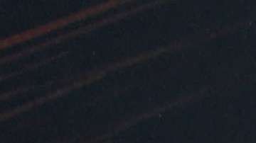 Ana María Polo presta su voz a Lolita, la orca atrapada en Miami Seaquarium.