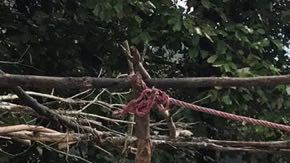 Una artesana de Yuvinani trabaja el telar de cintura, una técnica de antaño que está a punto de perderse.