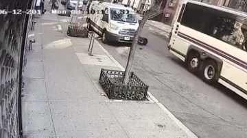 El accidente se reportó el pasado 12 de junio.