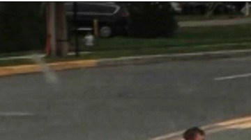 El conductor tomó la foto al frenar a tiempo