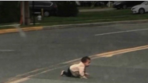El conductor tomó la foto al frenar a tiempo