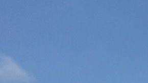 Muchos becarios en el Congreso pasan hambre, o buscan empleos con pago, para cubrir sus gastos en Washington. Foto: María Peña/Impremedia