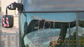 La MTA marcó los vidrios de los buses con palabras “Bed Bugs”.