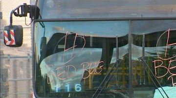 La MTA marcó los vidrios de los buses con palabras “Bed Bugs”.
