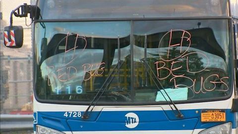 La MTA marcó los vidrios de los buses con palabras “Bed Bugs”.