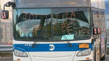 La MTA marcó los vidrios de los buses con palabras “Bed Bugs”.