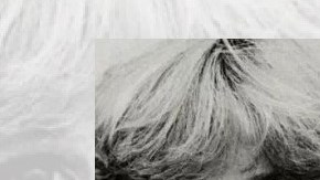 Christine Blasey Ford testificará el lunes ante el Senado.