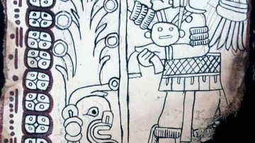 El Códice Maya de México es auténtico.