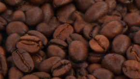 El café, el mejor aliado para tus riñones.