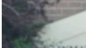 La mascota de Joshua Horner era la clave para no ir a la cárcel.