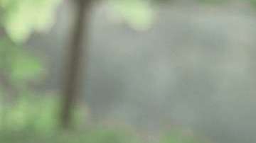 Es mucho más sencillo de lo que crees.