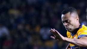 Los Tigres del Tuca consiguen su primer campeonato internacional.