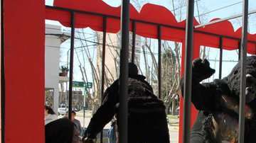 Los asistentes creyeron que eran animales maltratados.