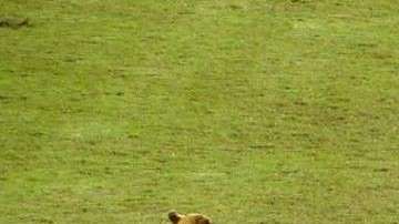 Carlos Jara Saguier y 'Tesapara' 'dirigiendo' juntos.