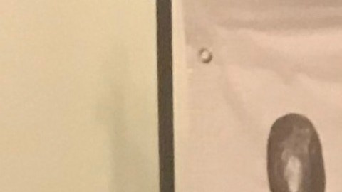 La Dra. Vasthi Acosta, directora de la Amber Charter School, con su Premio Ilustre.