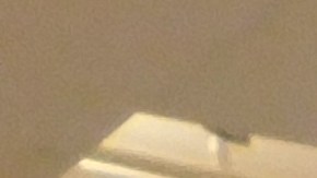 El Museo del Barrio reabre sus puertas.