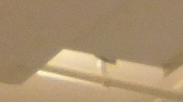 El Museo del Barrio reabre sus puertas.