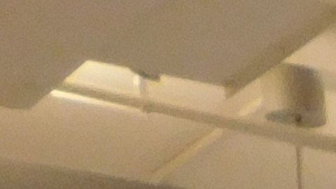 El Museo del Barrio reabre sus puertas.