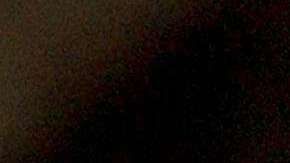 La mayoría de usuarios de la tarjeta EBT recibe $125 al mes.