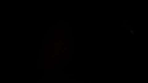 Un artista recrea al asteroide 2015 TB145, que semeja a un cráneo humano.