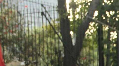 Eleazar Hernández, deportado de Wisconsin.