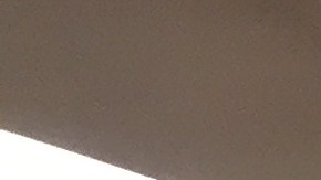 En las elecciones generales de 2020 más de 11 millones de neoyorquinos tendrán la opción de renovar o reelegir a sus legisladores y al presidente.