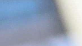 ACLU continúa luchando por reunir a las familias separadas en la frontera.