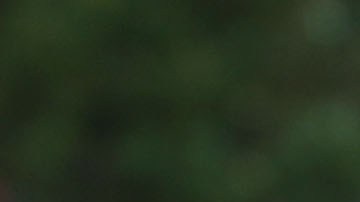 El presidente Trump calificó de una "vergüenza" la editorial.