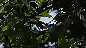 La Primera Dama en su evento del 27 de agosto.