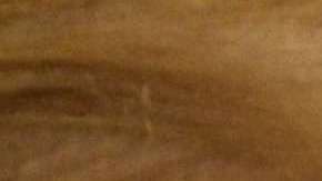 Trump criticó las investigaciones del 
 DOJ contra dos congresistas republicanos