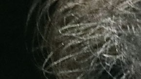 El 20 de septiembre, el Comité Judicial del Senado decidirá sobre Kavanaugh.