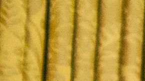 El presidente Trump viajará a Carolina del Norte.