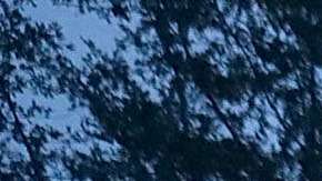 El Trent se desborda en River Bend, Carolina del Norte