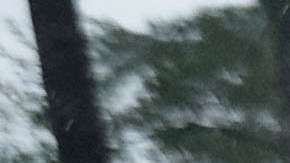 Florence ha dejado sin electricidad a más de 800,000 hogares