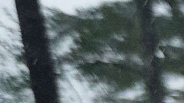 Florence ha dejado sin electricidad a más de 800,000 hogares