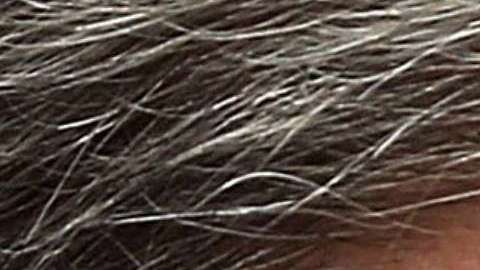 Manafort, Flynn, Cohen y Gates podrían llevar a la caída de Trump