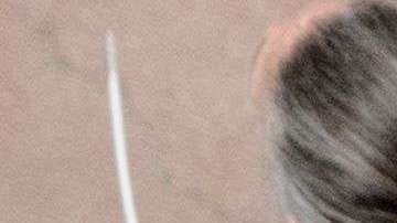 Al menos un par de decenas de activistas fueron detenidos en el Senado.