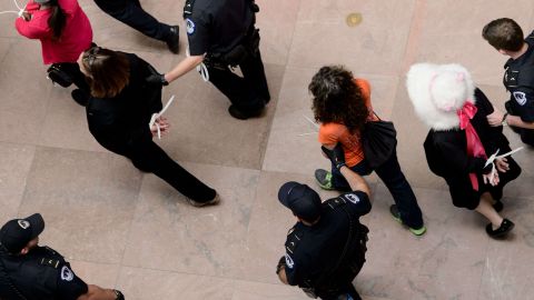 Al menos un par de decenas de activistas fueron detenidos en el Senado.