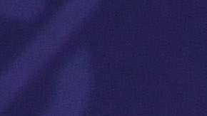 La comentarista de Fox, Tomi Lahren arremetió contra Michelle por alabar a su esposo