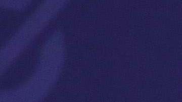 La comentarista de Fox, Tomi Lahren arremetió contra Michelle por alabar a su esposo